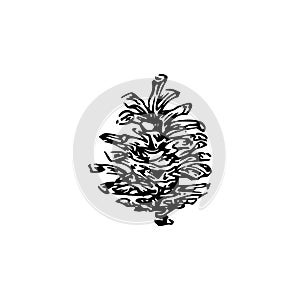Hand drawn pinecone vector illustration. Linocut pine or fir cone decorative graphic image. Stylized monochrome black ink isolated