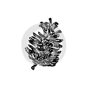 Hand drawn pinecone vector illustration. Linocut pine or fir cone decorative graphic image. Stylized monochrome botany black