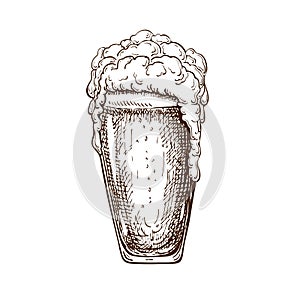 Hand drawn pint of beer full of wheat beer with foam. Beautiful vintage beer mug or pilsner with dropping froth isolated