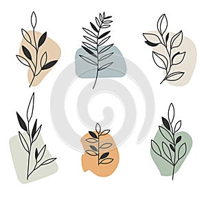 hand drawn plant elements, sprouts, branches, aesthetic template set