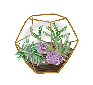 Hand drawn plant terrarium with succulents in modern scandi style. Decorative houseplants composition in glass florarium