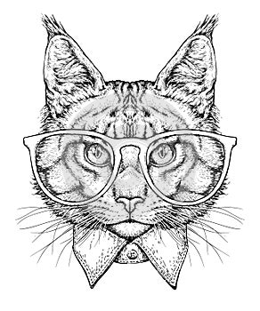 Dipinto a mano ritratto gatto occhiali arco cravatta. vettore illustrazioni su bianco 
