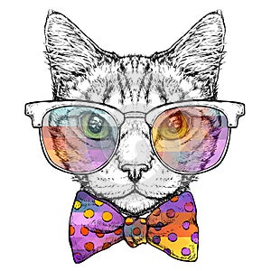 Dipinto a mano ritratto gatto occhiali arco cravatta. vettore illustrazioni su bianco 