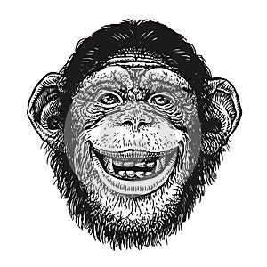 Hand drawn portrait of chimpanzee. Funny monkey, neanderthal man. Sketch vector illustration