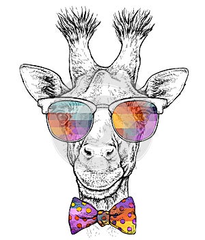 Hand drawn portrait of cute Jiraffe in glasses with bow tie. Vector illustration isolated on white