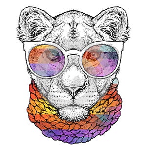 Hand drawn portrait of cute Lioness in glasses and scarf. Vector illustration isolated on white