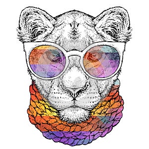 Hand drawn portrait of cute Lioness in glasses and scarf. Vector illustration isolated on white photo