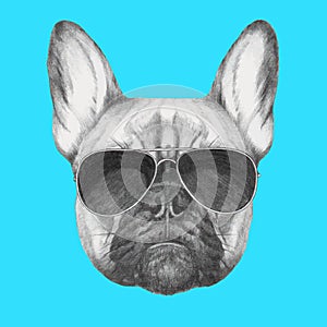 Hand drawn portrait of French Bulldog with sunglasse. photo