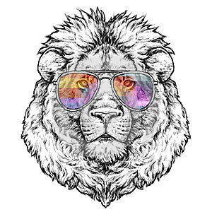 Hand drawn portrait of lion in glasses. Vector illustration isolated on white.