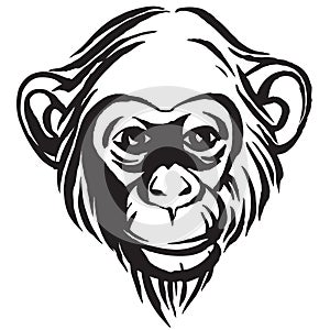 Hand drawn portrait of monkey chimpanzee. Black and white