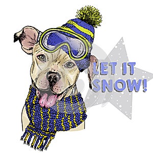 Hand drawn portrait of pit bull terrier dog wearing hat, goggles and scarf. Vector Christmas illustration. Colored puppy