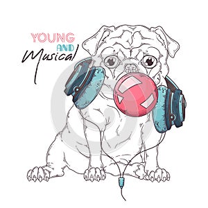 Hand drawn portrait of pug dog in accessories Vector.