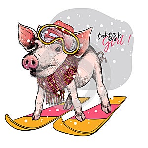 Hand drawn portrait of skiing pig wearing hat, goggles and scarf. Vector Christmas illustration. Colored piglet. Xmas