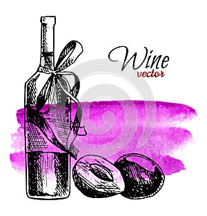 Hand drawn poster with watercolor background. Plum berry cider beer or wine drink. Vector glass bottle and plum. Bar