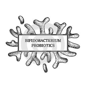 Hand drawn probiotic bifidobacterium bacteria frame. Design for packaging and medical information. Vector illustration in sketch