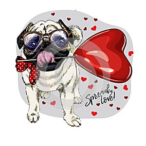 Hand drawn pug with heart shape baloon. Vector Valentine day greeting card. Cute colorful dog wears glasses and bandana