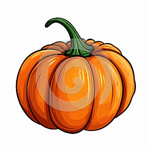 Hand drawn pumpkin vector illustration