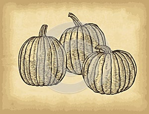 Hand drawn pumpkins on old craft paper texture background. Template for your design works.