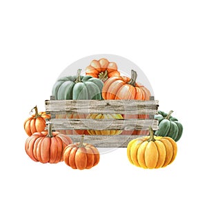 Hand drawn pumpkins in a wooden box. Watercolor painted illustration. Farm organic autumn harvest vegetables in a wooden