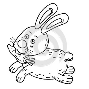 Hand drawn rabbit character illustration