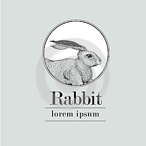 Hand drawn rabbit logo template. Vector vintage illustration.