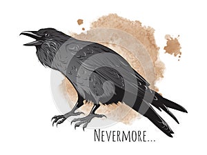 Hand drawn raven on sepia background vector illustration