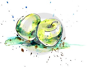 Hand drawn real watercolor and ink sketch of two green apple on