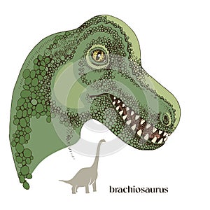 Hand drawn realistic dinosaurus Brachiosaurus