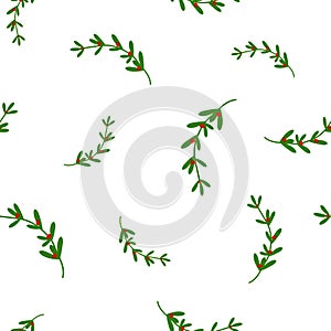Hand drawn red and green omela holly berry on white background. seamless winter pattern