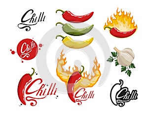 Hand drawn Red hot pepper. Spicy ingredient. Chili logo. Spice Hot Chili Pepper isolated on white background. Natural healthy food