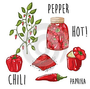 Hand drawn red peppers