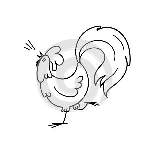 A hand-drawn rooster crows. Doodle rooster with a gorgeous tail stands on one leg with its head up and sings. Vector stock