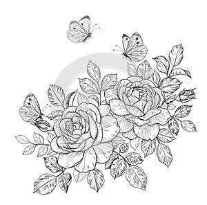 Hand Drawn Rose Flowers and Butterflies