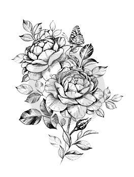 Hand Drawn Rose Flowers Composition with Butterfly