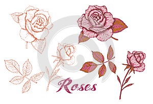 Hand-drawn roses set, vector. Sketch roses silhouette and color roses