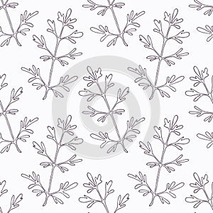 Hand drawn ruta or rue branch outline seamless photo