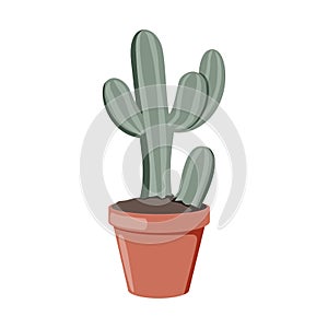 Hand drawn saguaro cactus in flowerpot. Desert plants. Flat vector illustration isolated on white