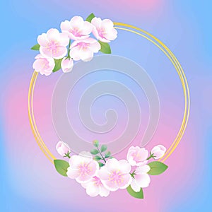 Hand drawn sakura blossom peach white flower plant decorative illustration, blue pink gradient vector background