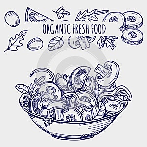 Hand drawn salad bowl and vegetables healhty food vector illustration