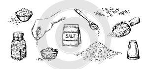 Hand drawn salt. Realistic saltcellar or bowl with salty seasoning. Heaps of powder and scoops with sodium crystals