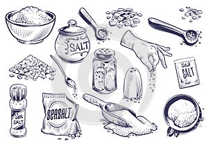 Hand drawn salt. Salting crystal, glass bottle with powder, spoon with spice, saltshaker collection, himalayan or sea