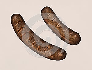 Hand drawn sausages isolated on plain background
