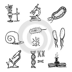 Hand drawn science beautiful vintage lab icons sketch set . Vector illustration. Back to School. Doodle lab equipment.Biology, al