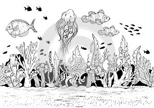 Hand drawn sea anemones coral reef, oceanic animal. Black and white