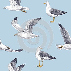 Hand drawn seagulls seamless pattern