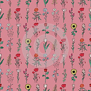 Hand drawn seamless pattern of blooming flower, herb, plant, wildflower, leaves. Floral colorful summer collection. Decorative