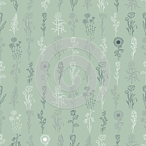 Hand drawn seamless pattern of blooming flower, herb, plant, wildflower, leaves. Floral outline summer collection. Decorative