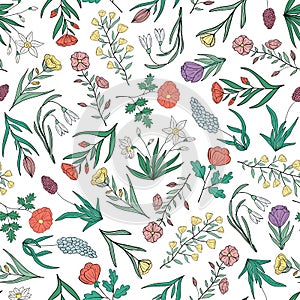 Hand drawn seamless pattern of blooming flowers and leaves. Floral colorful summer collection. Decorative doodle illustration for