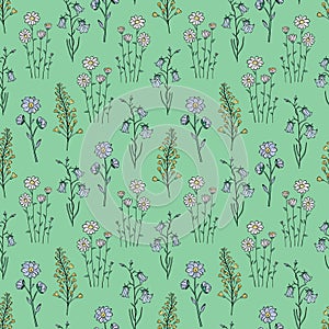 Hand drawn seamless pattern of blooming wildflowers, canterbury bells, chamomile. Floral collection on a green background.