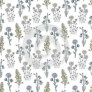 Hand drawn seamless pattern of blooming wildflowers, canterbury bells, chamomile. Floral collection on a white background.